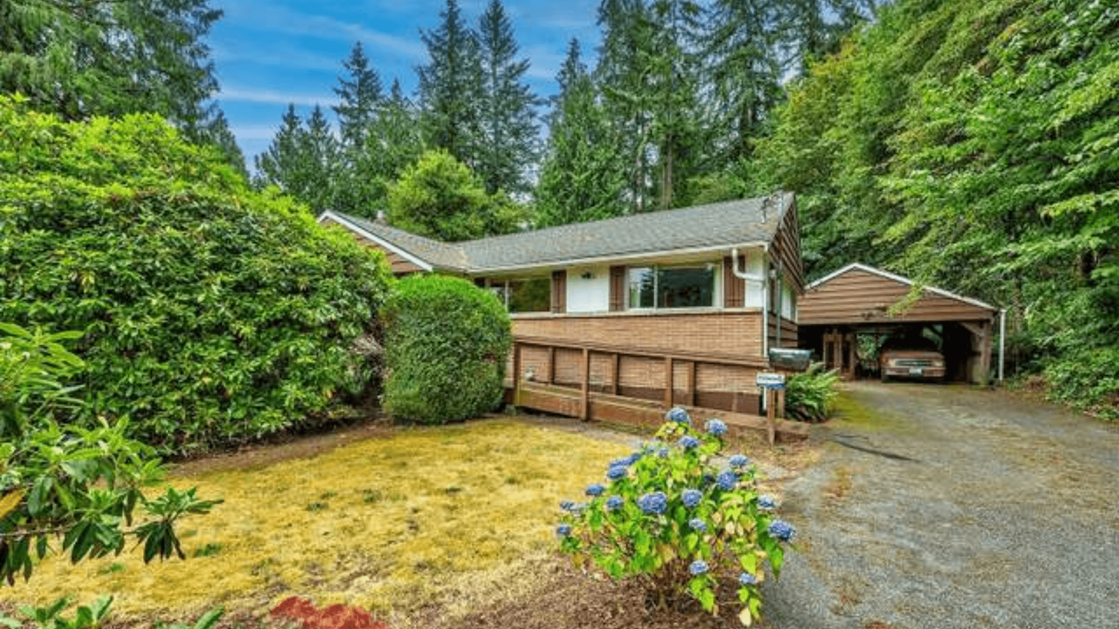 Grass lawn park Redmond