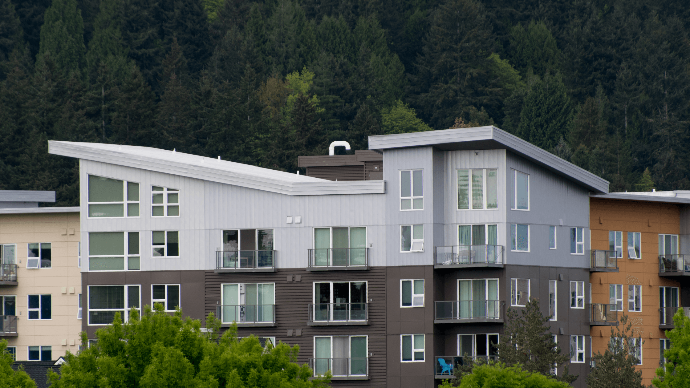 Redmond Education Hill neighbourhood WA